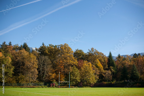 autumn, tree, park, nature, landscape, sky, grass, trees, field, leaves, forest, fall, meadow, garden, blue, season, summer, color, yellow, leaf, countryside, spring, outdoors, foliage, beauty, rugby