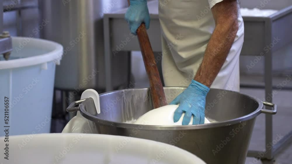 Manufacture Production and Making Process of Mozzarella Cheese, Worker