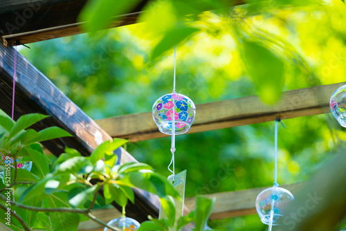 夏の花寺吉祥寺の風鈴参道