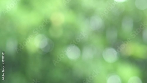Blur raining with beautiful green white soft bokeh abstract background for rainy season, springtime, health concept.