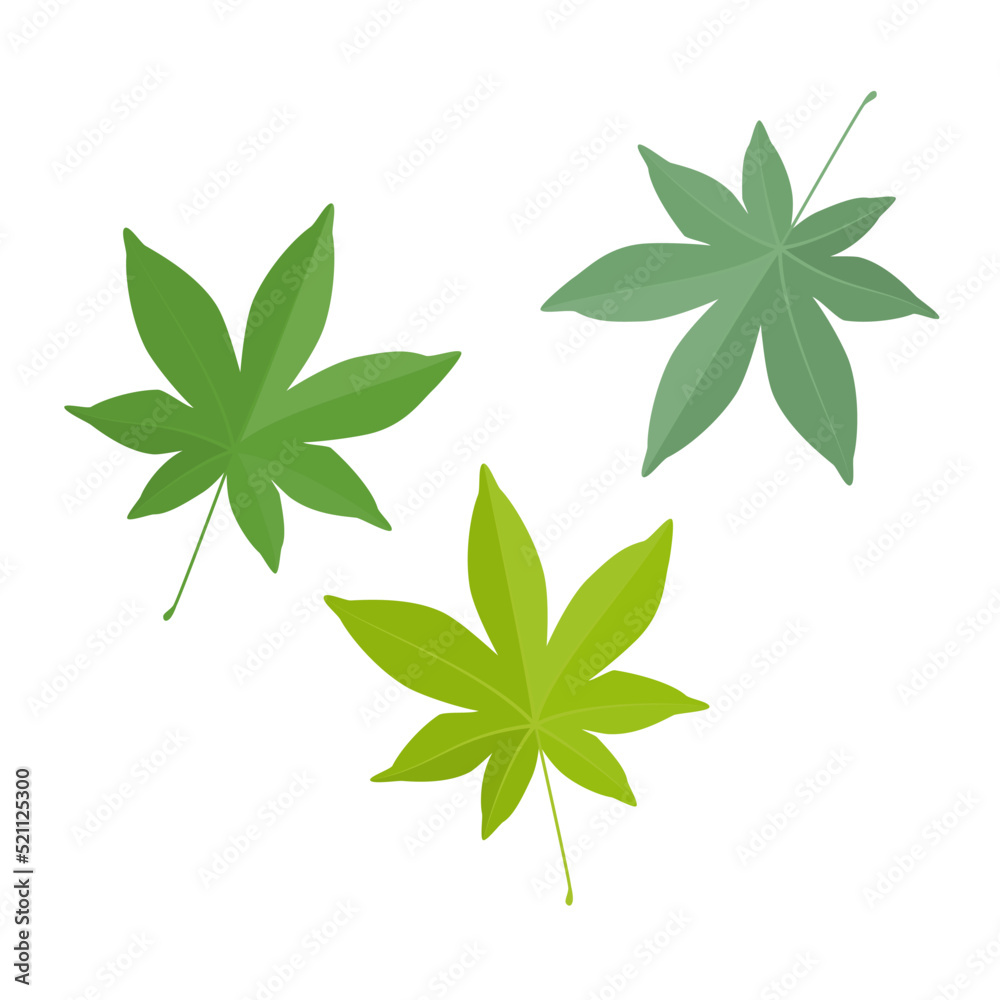 緑色のモミジの葉のイラスト 緑色のモミジの葉のイラスト