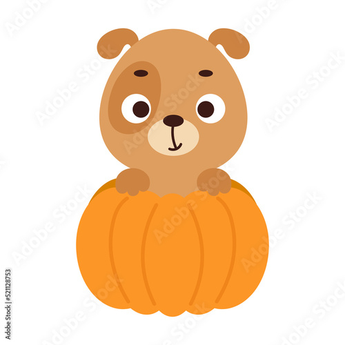 Cute little dog sitting in a pumpkin. Cartoon animal character for kids t-shirts, nursery decoration, baby shower, greeting card, invitation. Vector stock illustration