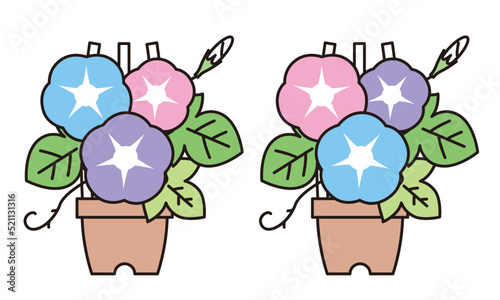 朝顔の花と蕾と葉と鉢植えのイラスト素材。