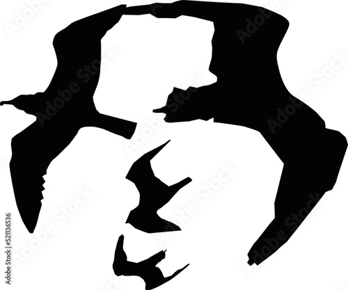 Double meaning image, Man face and bird optical illusion.