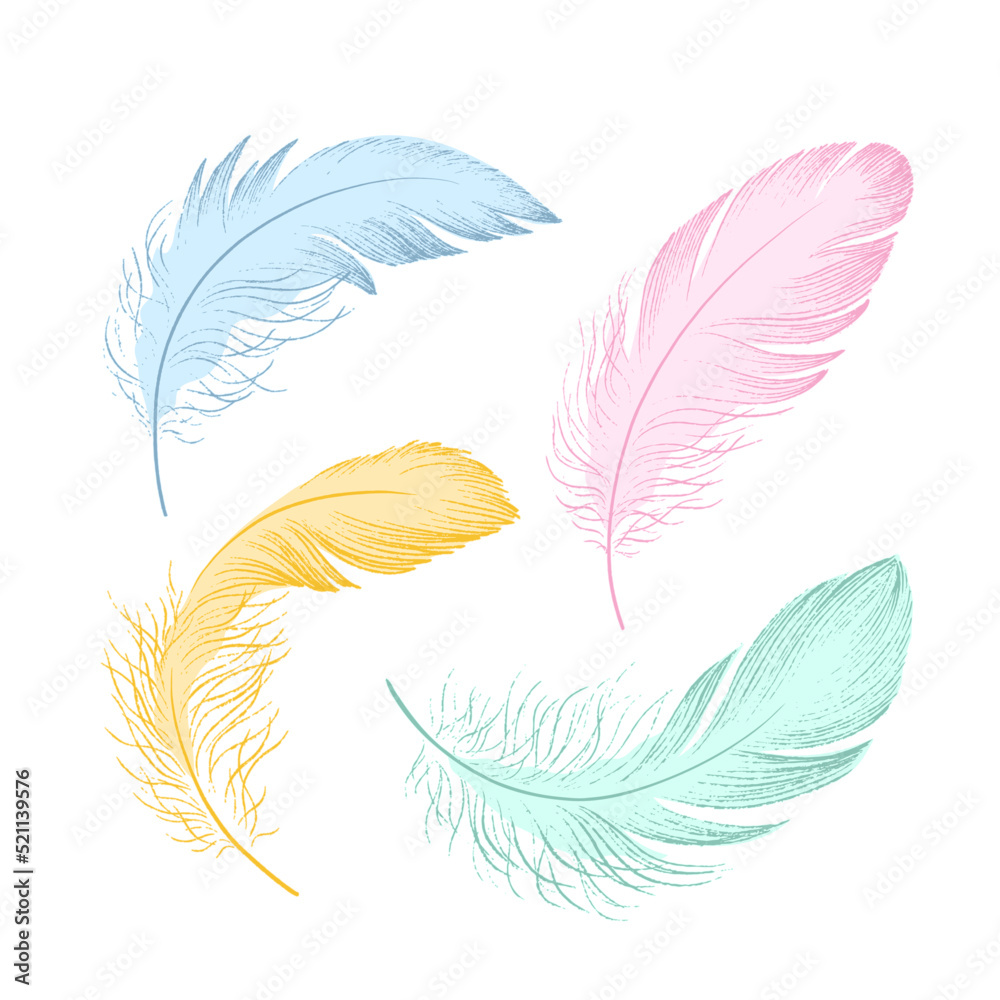 A set of colorfull delicate feathers. Vector illustration