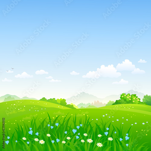 Grassy fields and blue sky background