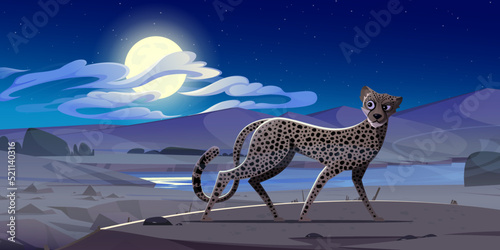 Cheetah at night african desert landscape. Exotic wild animal with spotted fur pattern. Cute gepard walking and looking around for prey under full moon. Watchful wildcat cartoon Vector illustration