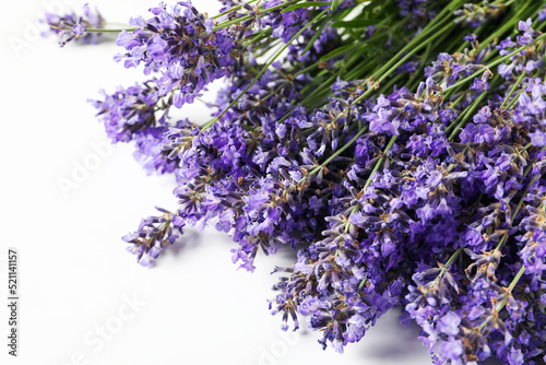 Lavender flowers on white background  close up