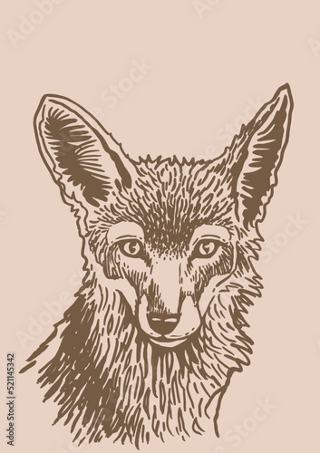 Vector portrait of sly fox on  sepia background graphical vintage drawing