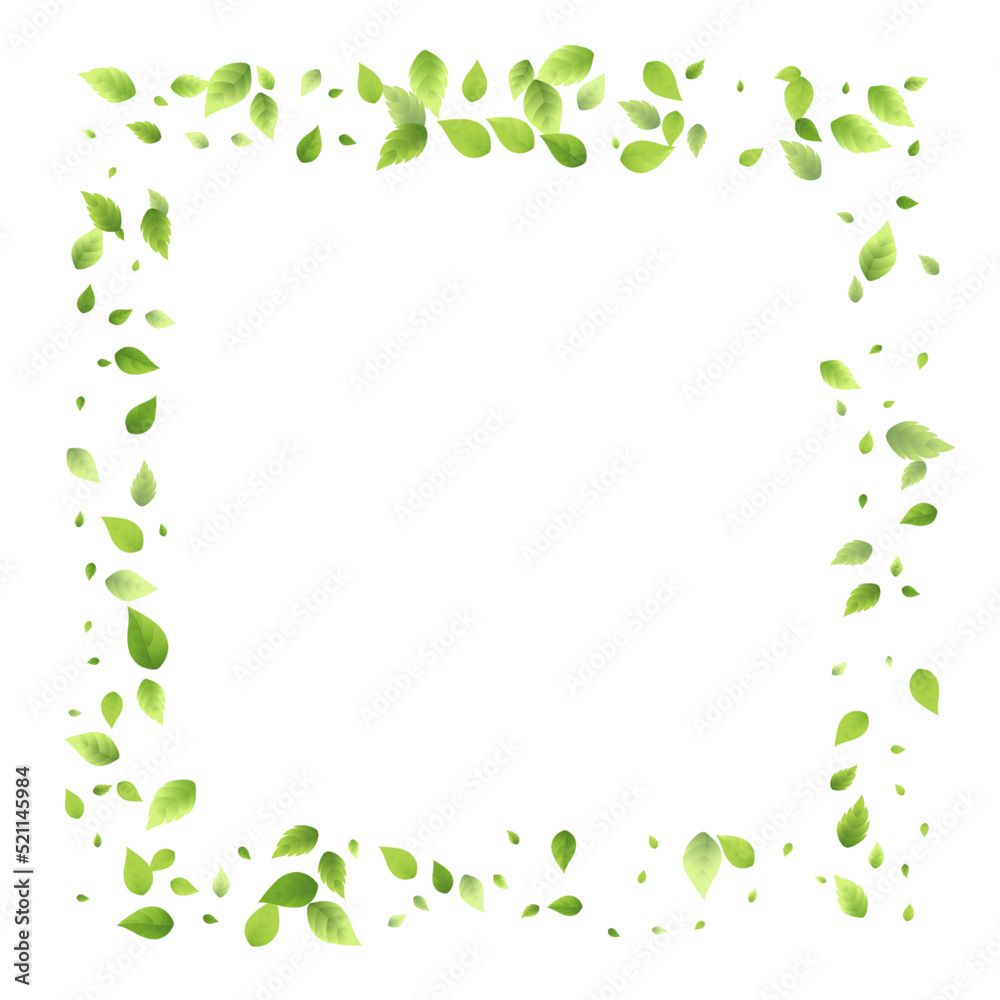 Leaves Green Falling Flying Foliage Leaf Tea Mint Leaves Green Falling Flying Foliage Leaf Tea Mint