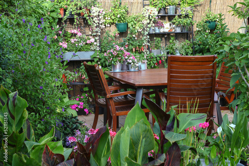Cosy Little Patio area in the garden with wooden seating area and lots of green plants in planters such a Canna, fuchsias and succulents in shabby chic pots