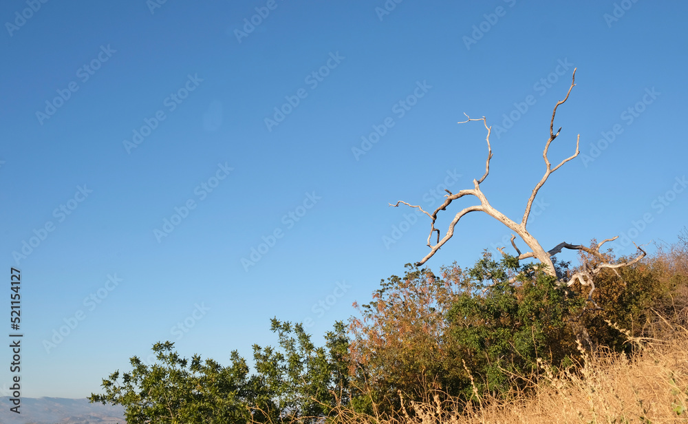 Landscape of the Ed Davis Park at Towsley Canyon - California, USA Landscape of the Ed Davis Park at Towsley Canyon - California, USA