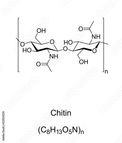 Chitin, chemical formula and structure. Long chain polymer of N-acetylglucosamine, 2nd most abundant polysaccharide in nature after cellulose. Primary component of cell walls in insect exoskeletons. photo