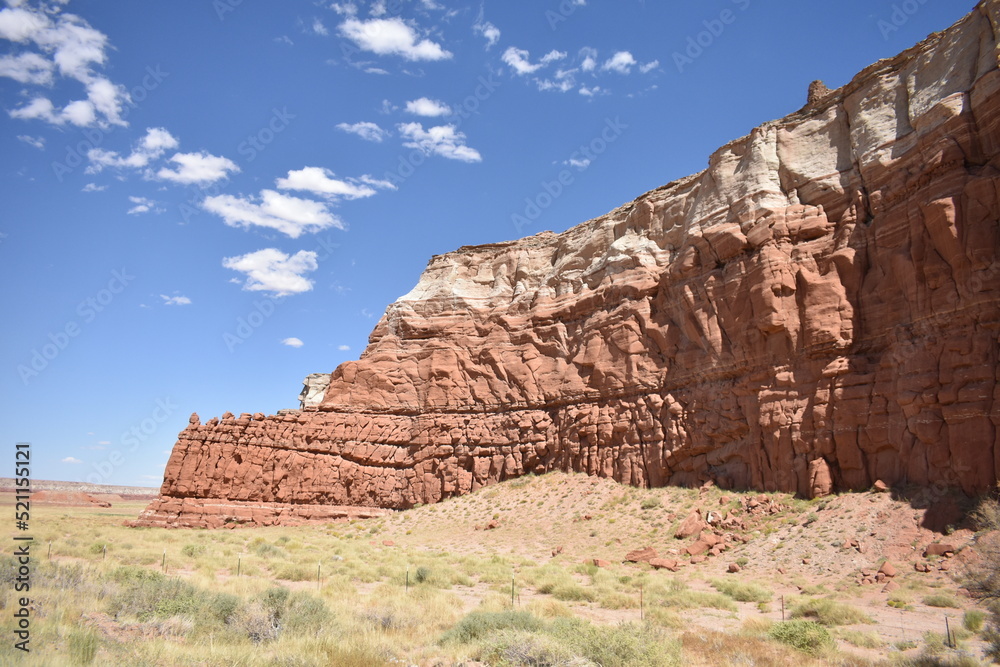 Fototapeta premium park state