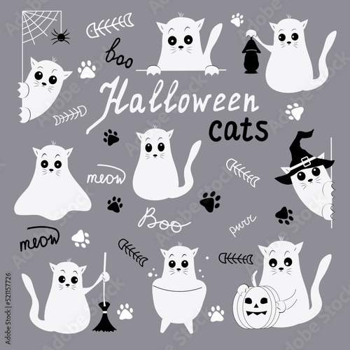 Fototapeta Naklejka Na Ścianę i Meble -  Happy Halloween, cat in monster costumes, Halloween party. Design elements for Halloween