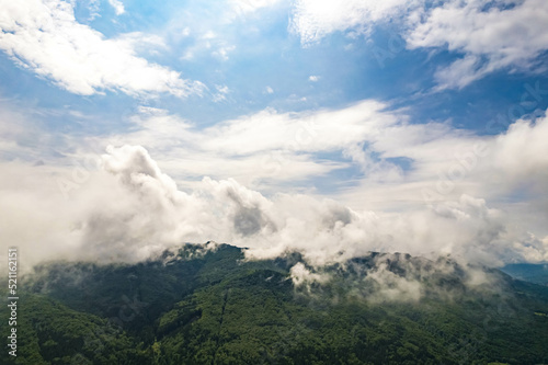 Clouds over forest