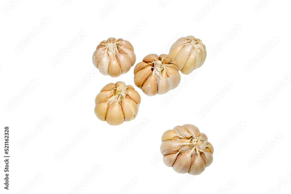 Fototapeta premium Garlic bulb, common garlic