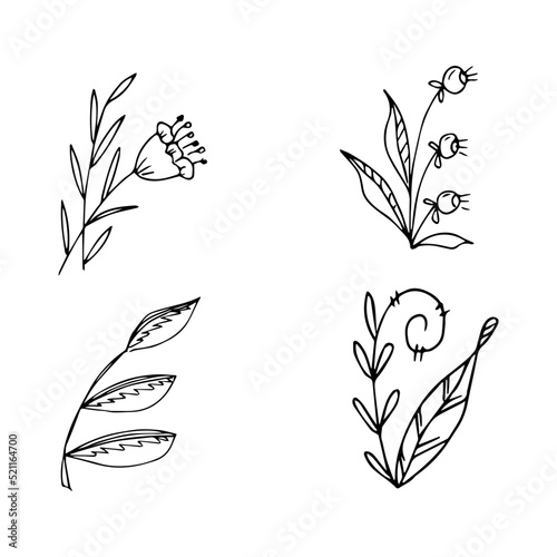 set of hand drawn doodle plant elements for floral design concept