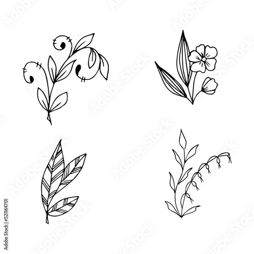 set of hand drawn doodle plant elements for floral design concept