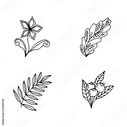 set of hand drawn doodle plant elements for floral design concept © Isolda