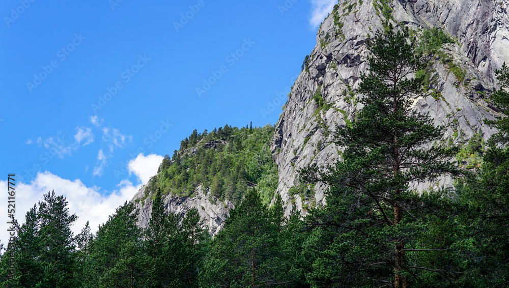 Big hills hidden behind fresh green forrest with blue sky in the background landscape nature 