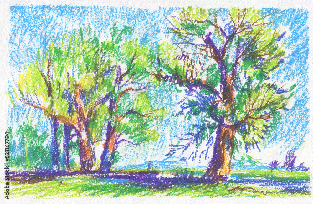 Fototapeta premium group of trees in summer in horizontal format