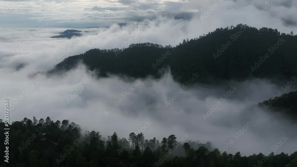 Aerial fly drone view above the mountains in the lush green rain clouds cover tropical rain forest during the rainy season in Mexico