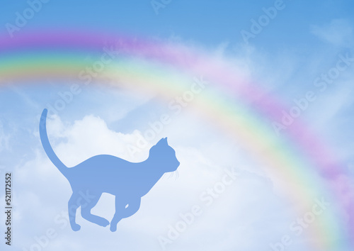 Tableau sur toile happy kitten on the rainbow bridge