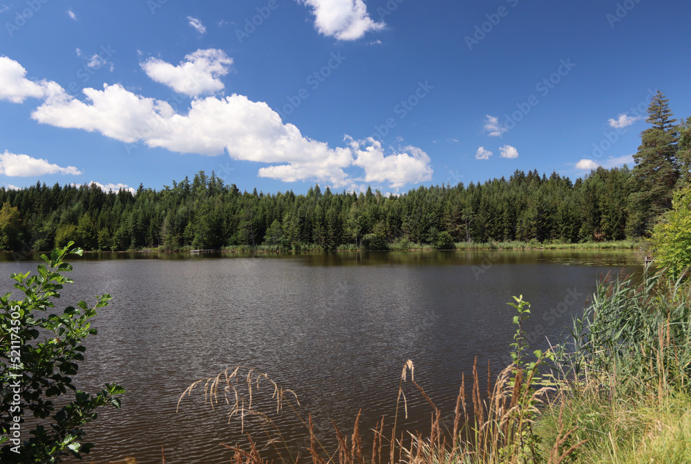 Fototapeta premium Auweiher