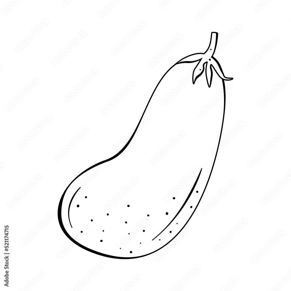 Flat vector linear illustration of eggplant in doodle style on a white background. Flat vector linear illustration of eggplant in doodle style on a white background.