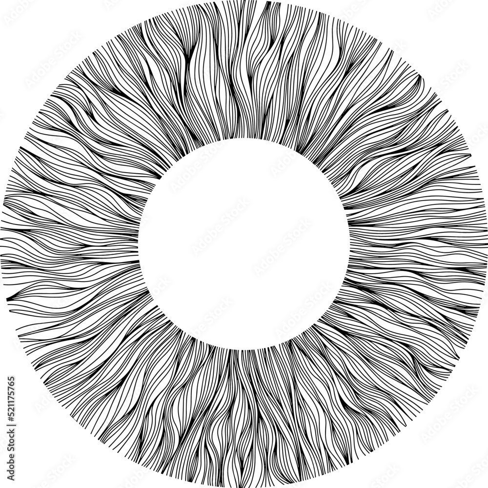 Abstract eye illustration. Iris decorative image. Circle vector line sketch.