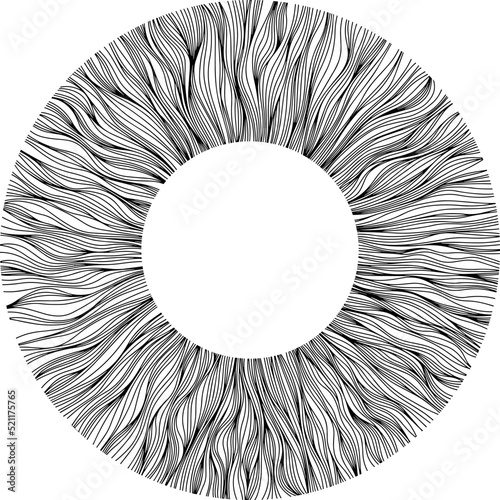 Abstract eye illustration. Iris decorative image. Circle vector line sketch.