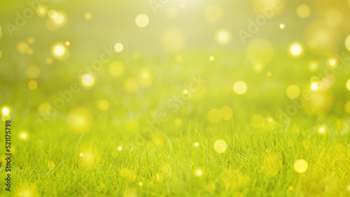 natural background green grass sun rays bokeh
