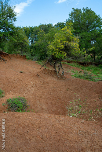 Wallpaper Mural Kokkinopilos (red clay), Preveza Greece, a unique geological phenomenon. Torontodigital.ca