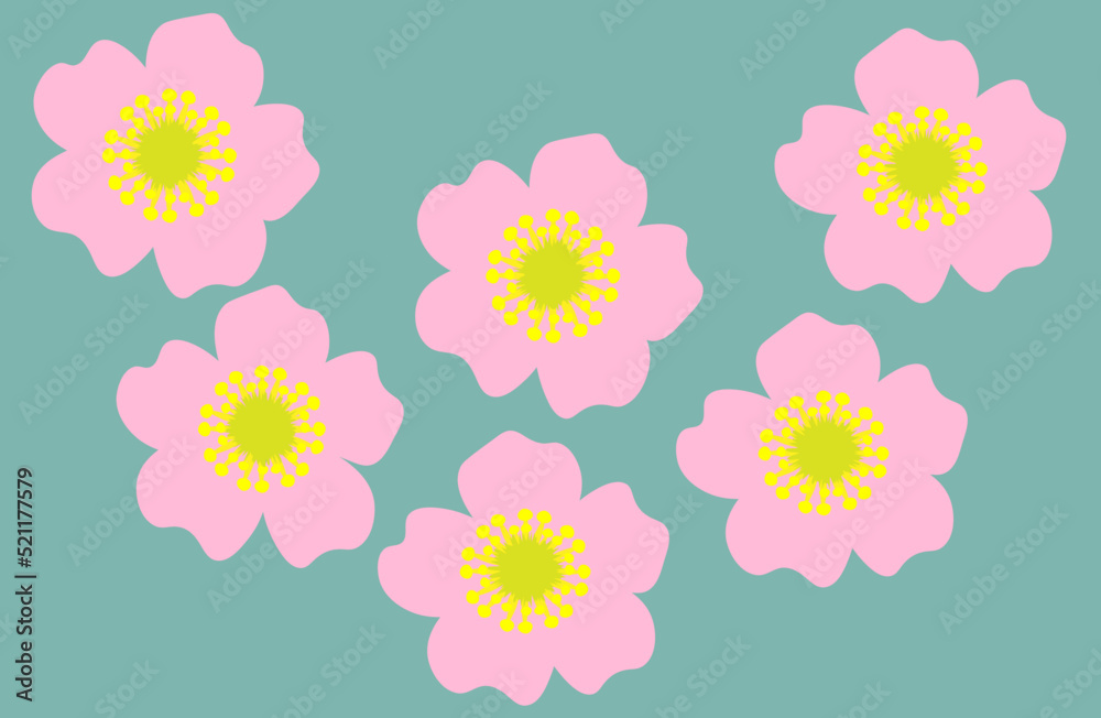 Japanese anemone flowers pattern. Japanese anemone flowers pattern.