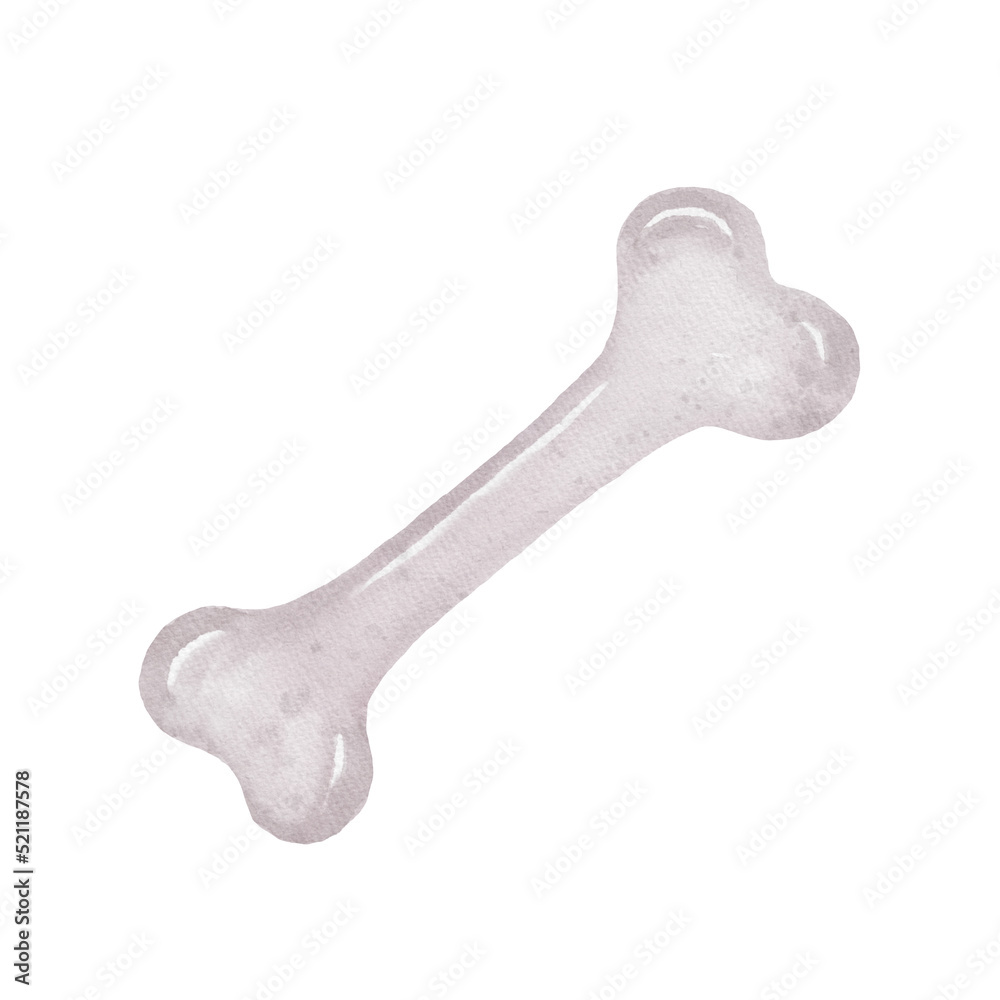 Watercolor illustration of bone isolated on white. Symbol of dog food, dental chew, teeth care. Watercolor illustration of bone isolated on white. Symbol of dog food, dental chew, teeth care.