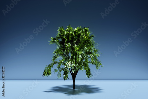 3d illustration of realistic green decorative tree isolated on  blue background. Stylized deciduous tree