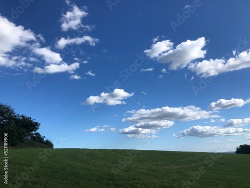 zielone pole i błękitne niebo