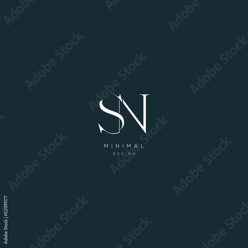 Initial letter sn minimal vector icon