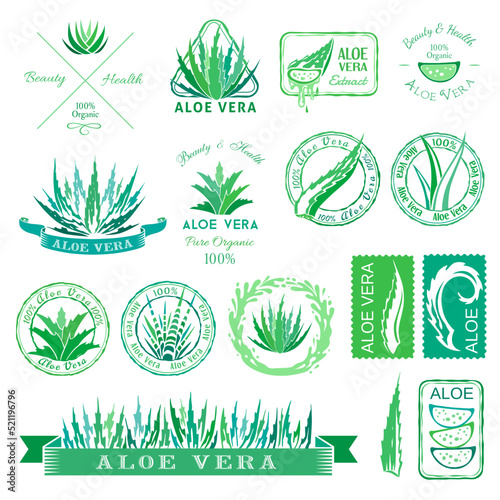 Aloe vera design elements. Stencil style.