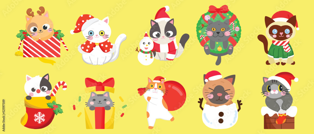 cute cat in Christmas day cute cat in Christmas day
