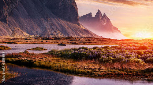 Sunny landscape of Iceland. Gorgeous view on Stokksnes cape and Vestrahorn Mountain with flowers on foreground at summer. Iconic location for landscape photographers and bloggers. Wonderful nature.