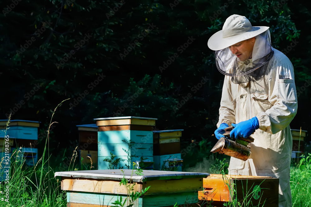 Beekeeper working collect honey. Beekeeping concept. Farmer wearing bee suit working with honeycomb in apiary. Organic farming. Copy-space. Beekeeper working collect honey. Beekeeping concept. Farmer wearing bee suit working with honeycomb in apiary. Organic farming. Copy-space.