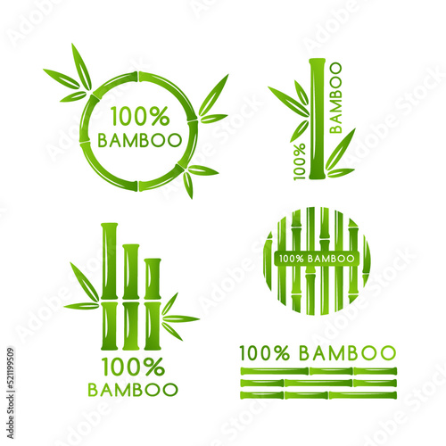 Bamboo decoration collection. Vector isolated design elements.
