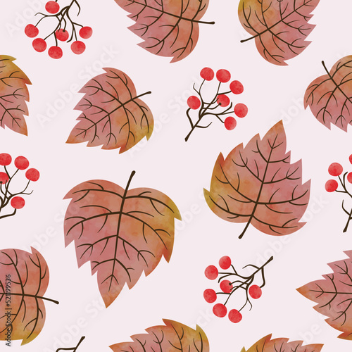 Autumn leaves and berries p...