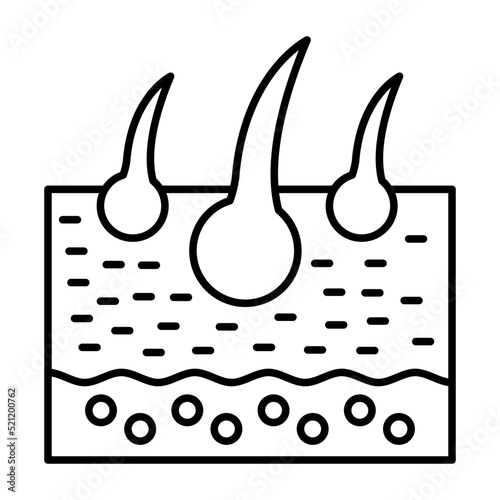 Skin Line Icon