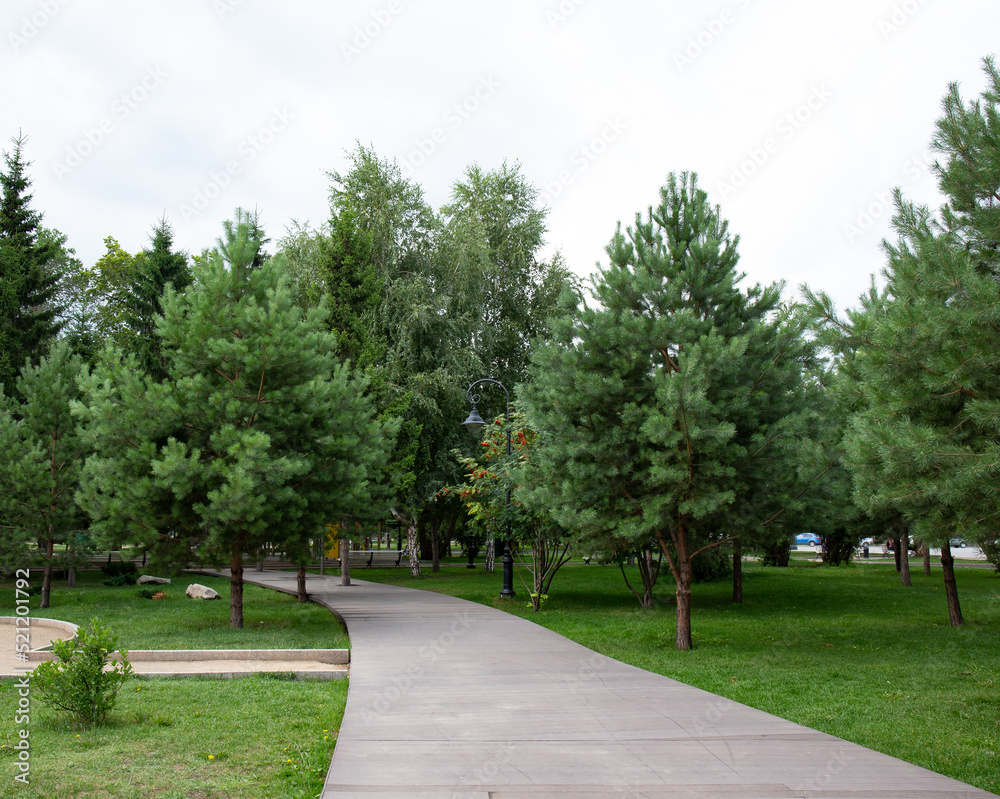 A beautiful path to the Vrubel Museum in the historical center of Omsk in summer