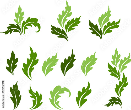 Leaves icon collection, Set vector isolated decorations.