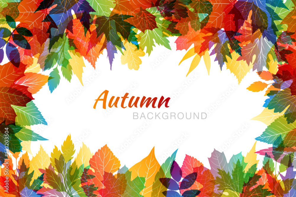 Autumn colorful background with various leaves