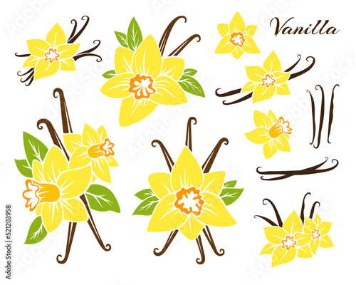 Vanilla icons collection. Flowers with dried pods.